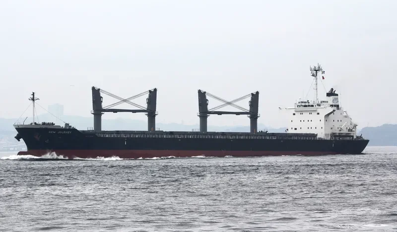 NEW JOURNEY Bulk Carrier IMO 9689794 photo 8