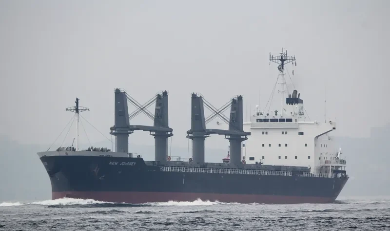 NEW JOURNEY Bulk Carrier IMO 9689794 photo 9