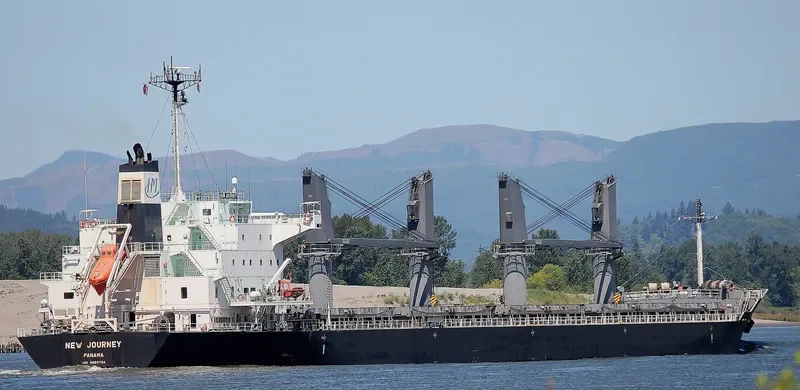 NEW JOURNEY Bulk Carrier IMO 9689794 photo 10
