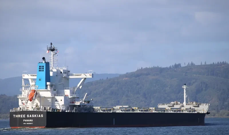 THREE SASKIAS Bulk Carrier IMO 9689811 photo 2