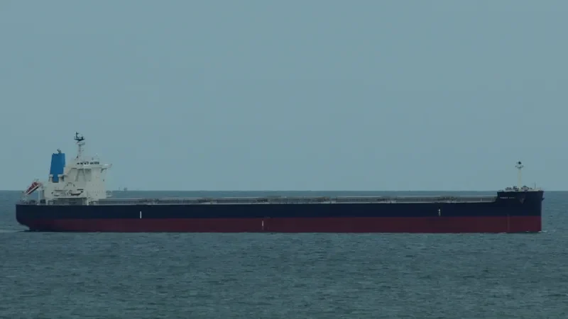 THREE SASKIAS Bulk Carrier IMO 9689811 photo 3