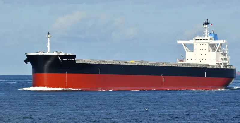 THREE SASKIAS Bulk Carrier IMO 9689811 photo 4