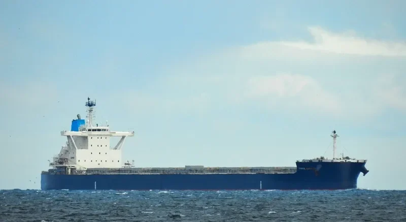 THREE SASKIAS Bulk Carrier IMO 9689811 photo 5