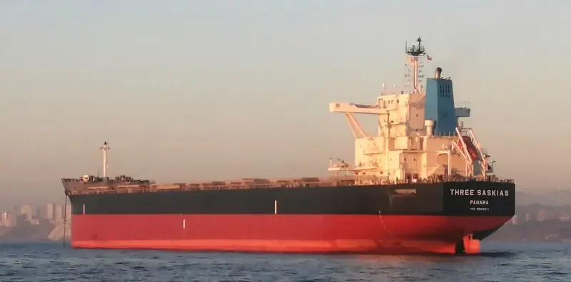 THREE SASKIAS Bulk Carrier IMO 9689811 photo 6