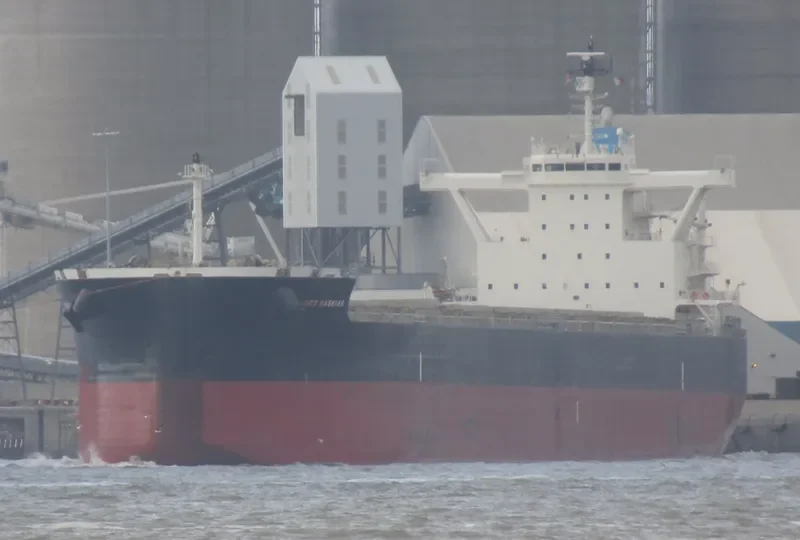 THREE SASKIAS Bulk Carrier IMO 9689811 photo 7