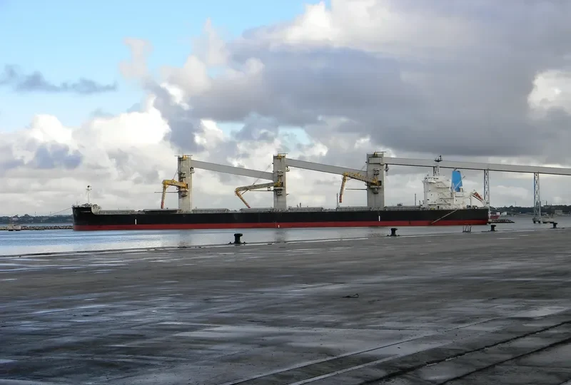 THREE SASKIAS Bulk Carrier IMO 9689811 photo 8