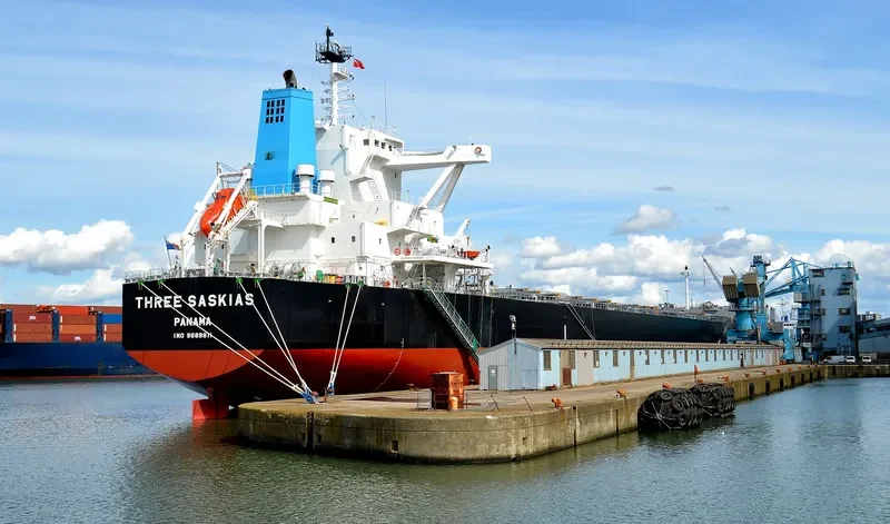THREE SASKIAS Bulk Carrier IMO 9689811 photo 9
