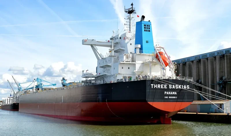 THREE SASKIAS Bulk Carrier IMO 9689811 photo 10