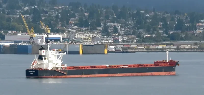 GRAECIA NAUTICA Bulk Carrier IMO 9689823 photo 3