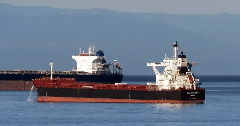 GRAECIA NAUTICA Bulk Carrier IMO 9689823 photo 6
