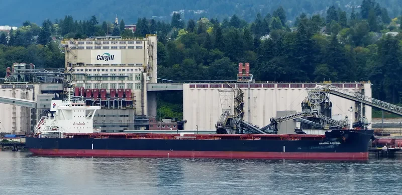 GRAECIA AETERNA Bulk Carrier IMO 9689835 photo 2