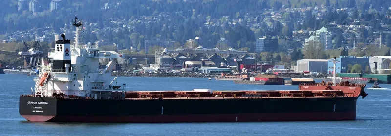 GRAECIA AETERNA Bulk Carrier IMO 9689835 photo 3