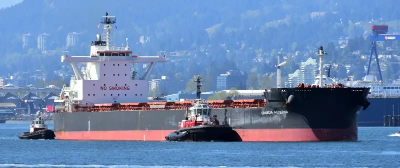 GRAECIA AETERNA Bulk Carrier IMO 9689835 photo 4