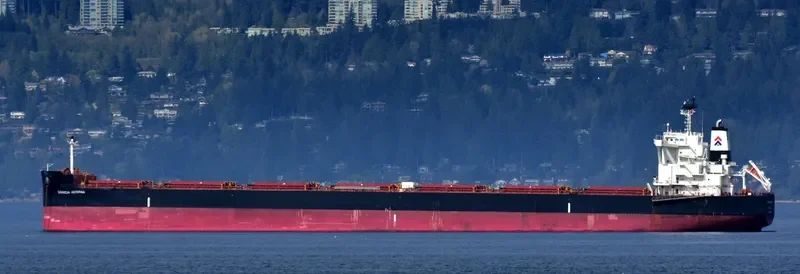 GRAECIA AETERNA Bulk Carrier IMO 9689835 photo 7
