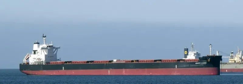 GRAECIA AETERNA Bulk Carrier IMO 9689835 photo 10