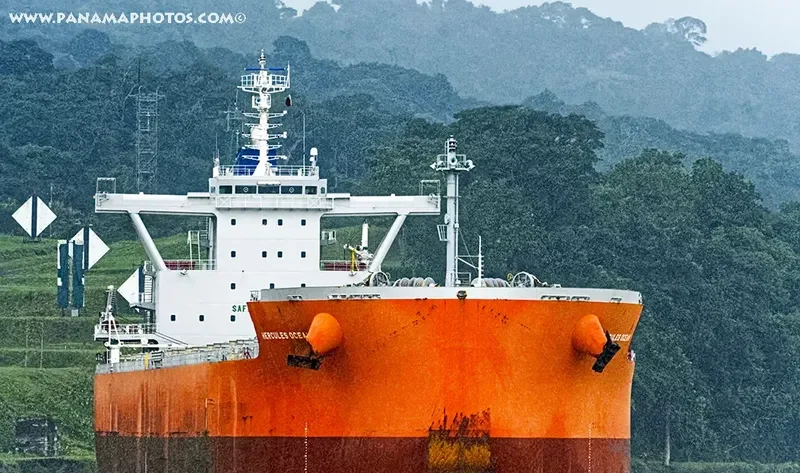 HERCULES OCEAN Bulk Carrier IMO 9689847