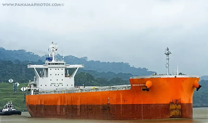 HERCULES OCEAN Bulk Carrier IMO 9689847 photo 2
