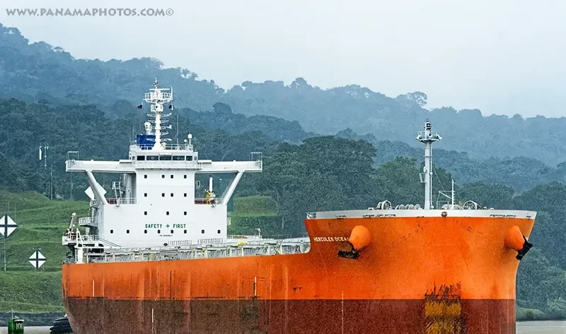 HERCULES OCEAN Bulk Carrier IMO 9689847 photo 3