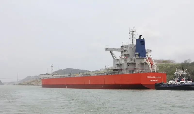 HERCULES OCEAN Bulk Carrier IMO 9689847 photo 5
