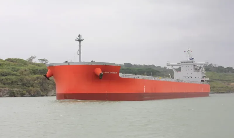 HERCULES OCEAN Bulk Carrier IMO 9689847 photo 6