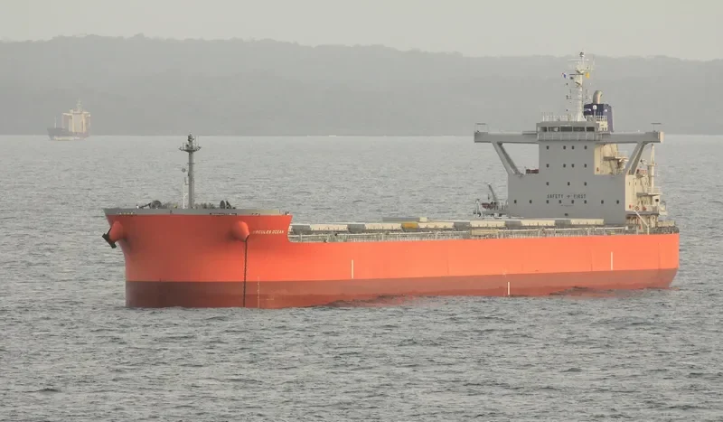 HERCULES OCEAN Bulk Carrier IMO 9689847 photo 7