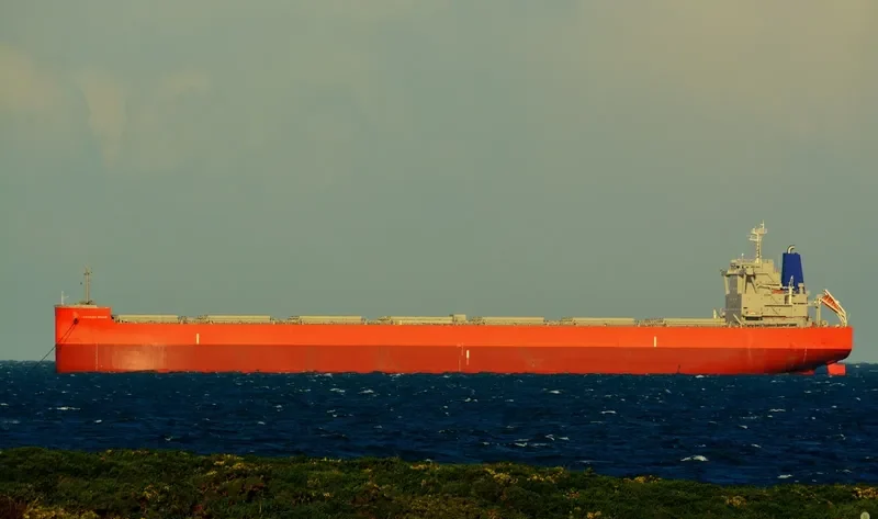 HERCULES OCEAN Bulk Carrier IMO 9689847 photo 8