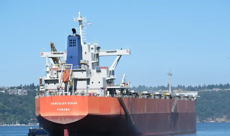 HERCULES OCEAN Bulk Carrier IMO 9689847 photo 9
