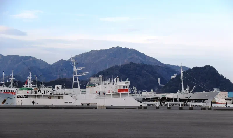 FUKUYO MARU NO.7 General Cargo IMO 9689859 photo 3
