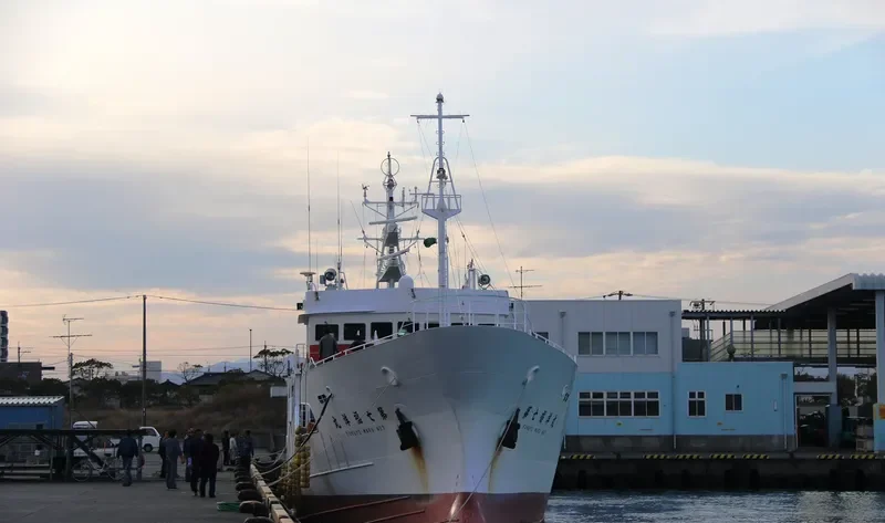 FUKUYO MARU NO.7 General Cargo IMO 9689859 photo 4