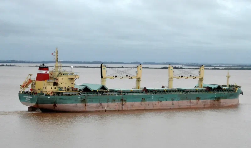 STRATEGIC HARMONY Bulk Carrier IMO 9689897 photo 3