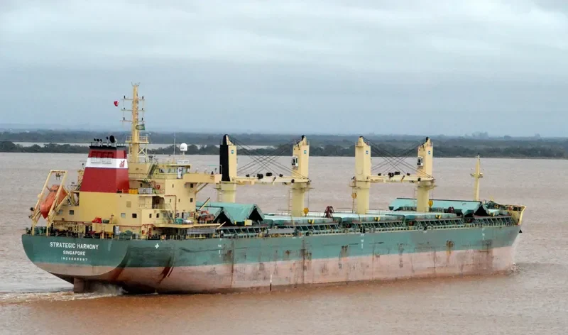 STRATEGIC HARMONY Bulk Carrier IMO 9689897 photo 4