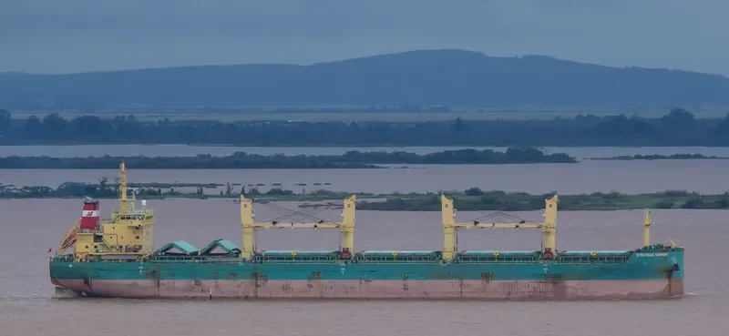STRATEGIC HARMONY Bulk Carrier IMO 9689897 photo 6