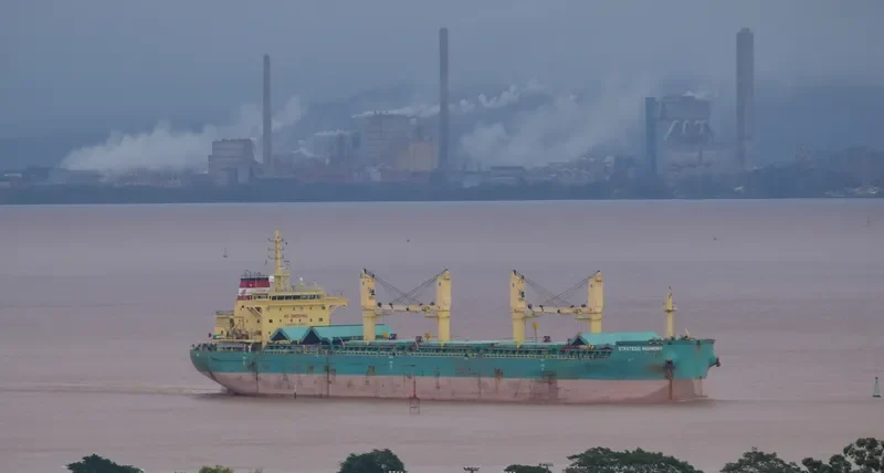 STRATEGIC HARMONY Bulk Carrier IMO 9689897 photo 7