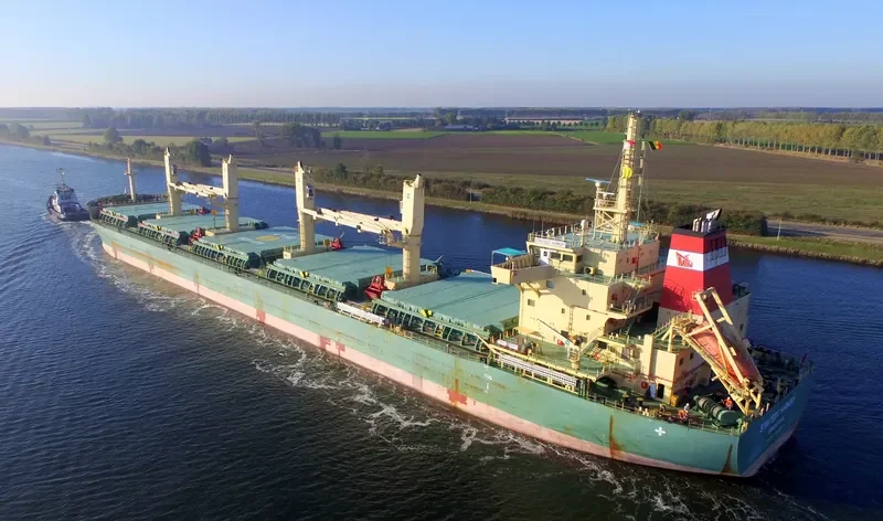 STRATEGIC HARMONY Bulk Carrier IMO 9689897 photo 8