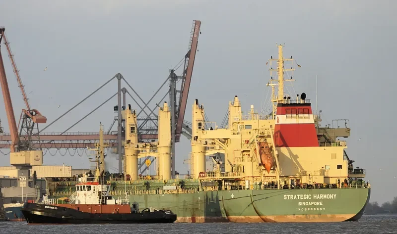 STRATEGIC HARMONY Bulk Carrier IMO 9689897 photo 10
