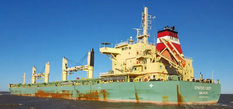 STRATEGIC EQUITY Bulk Carrier IMO 9689902 photo 2
