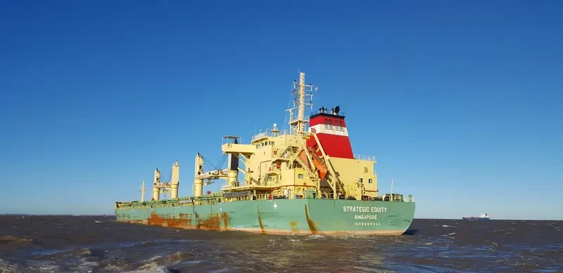 STRATEGIC EQUITY Bulk Carrier IMO 9689902 photo 3