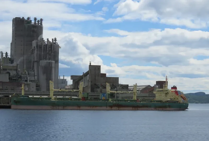 STRATEGIC EQUITY Bulk Carrier IMO 9689902 photo 5