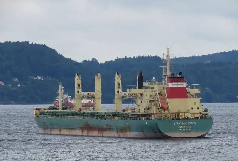 STRATEGIC EQUITY Bulk Carrier IMO 9689902 photo 6