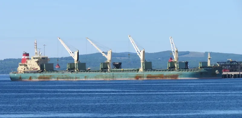 STRATEGIC EQUITY Bulk Carrier IMO 9689902 photo 7