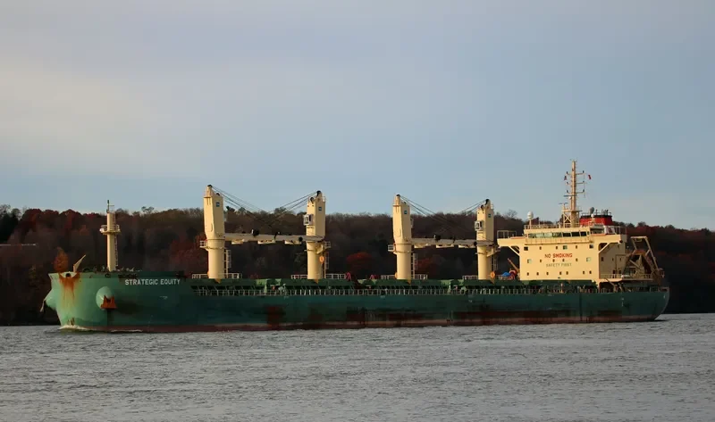 STRATEGIC EQUITY Bulk Carrier IMO 9689902 photo 8
