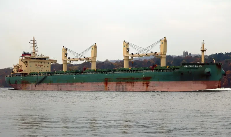 STRATEGIC EQUITY Bulk Carrier IMO 9689902 photo 10