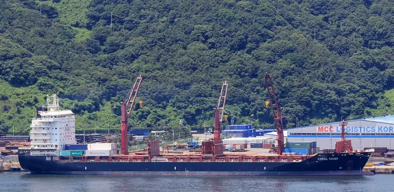 CORAL CHIEF Container Ship IMO 9689938