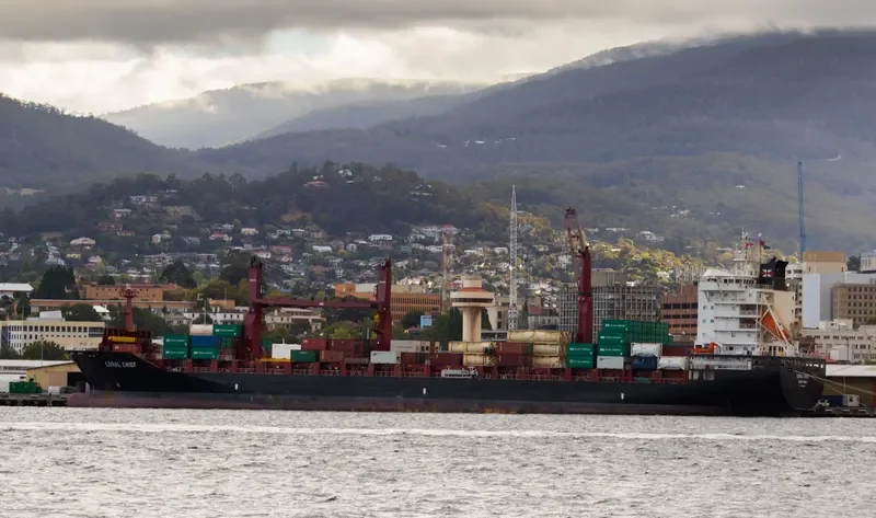 CORAL CHIEF Container Ship IMO 9689938 photo 4