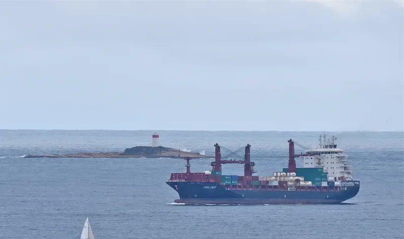 CORAL CHIEF Container Ship IMO 9689938 photo 8