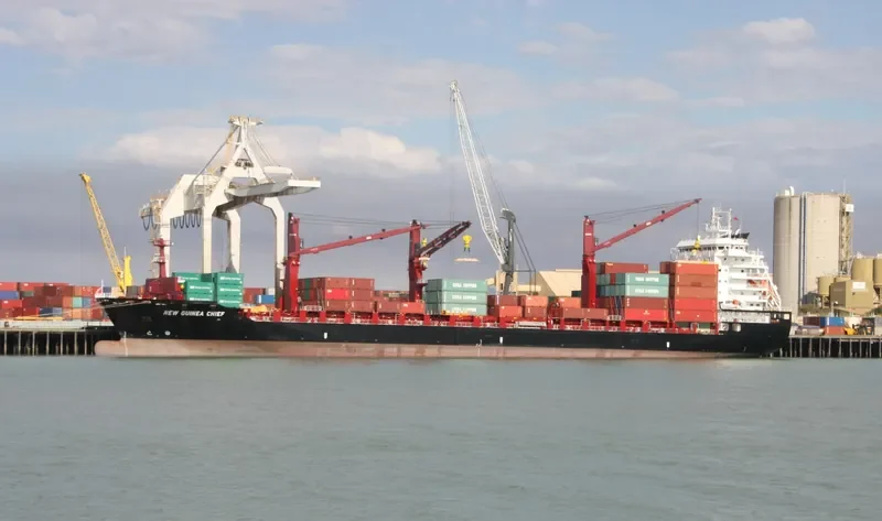 NEW GUINEA CHIEF Container Ship IMO 9689952