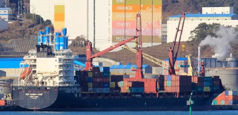 NEW GUINEA CHIEF Container Ship IMO 9689952 photo 2