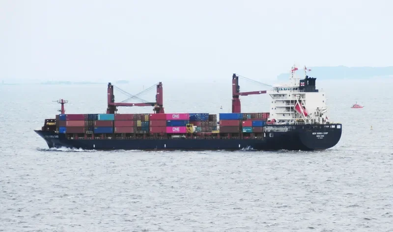 NEW GUINEA CHIEF Container Ship IMO 9689952 photo 3