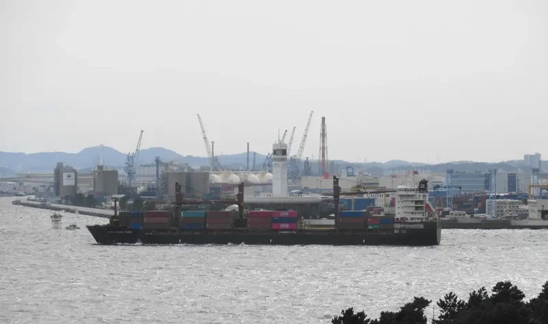 NEW GUINEA CHIEF Container Ship IMO 9689952 photo 4