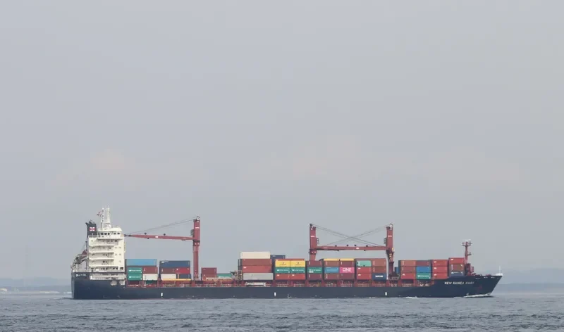 NEW GUINEA CHIEF Container Ship IMO 9689952 photo 5